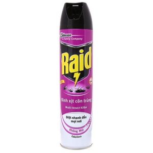 Bình xịt côn trùng Raid không mùi 600ml